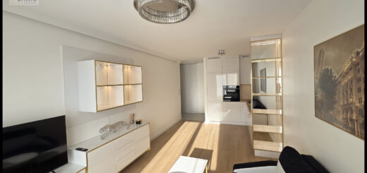 luksusowy apartament - projekt architektoniczny